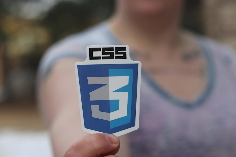 Image of person holding css icon